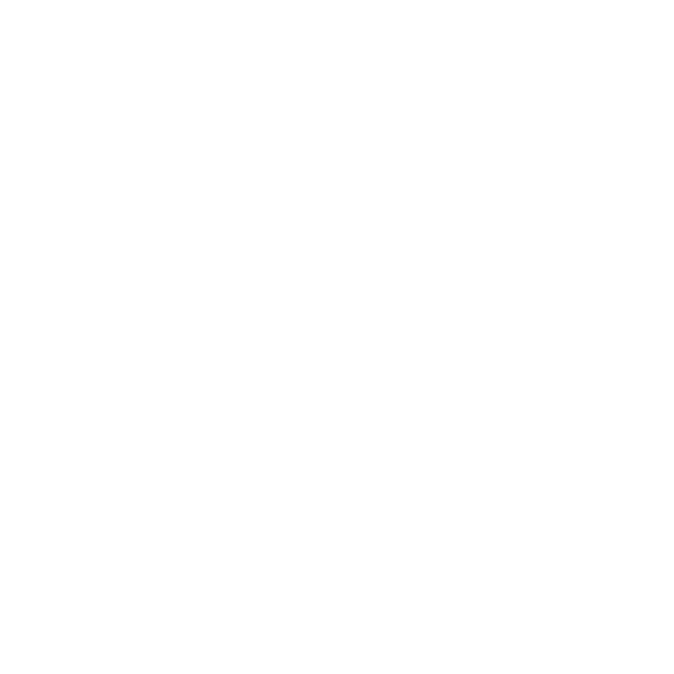 ssweb_0004_AIB_Logo-White