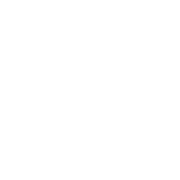 ssweb_0019_raa